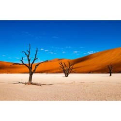 Namibia Roadtrip:...