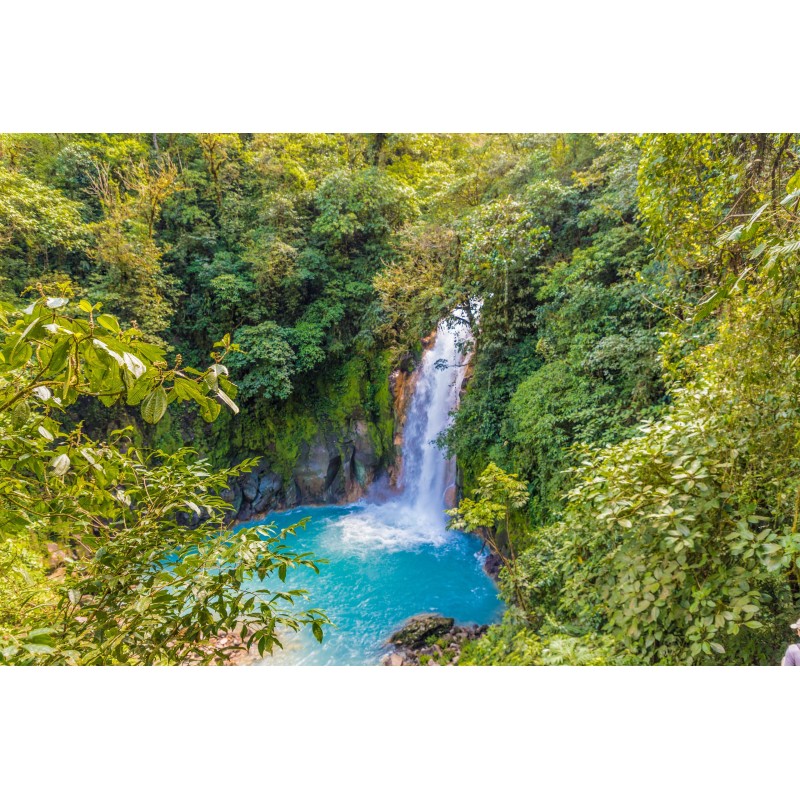 Costa Rica Bucketlist: Jungle Nights & Pura Vida!