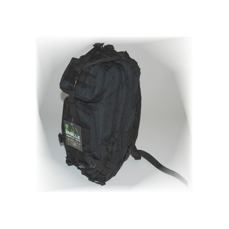 Rucksack Assault Pack 25L schwarz