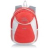 Rucksack Dublin 15 Liter  rot/grau Restposten