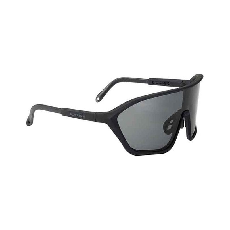 Schutzbrille Swiss Eye Devil schwarz