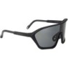 Schutzbrille Swiss Eye Devil schwarz