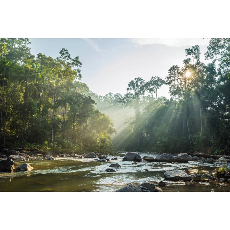 Jungle nights and city lights: Sumatra, Malaysia and Singapur!