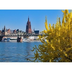 Frankfurt - Erstklassiges IntercityHotel in Bestlage