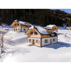 Ferienhaus Riesneralm...