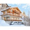 Ferienhaus Paradis des 4 Vallees mit eigener Sauna und Whirlpool - 8-12 Personen