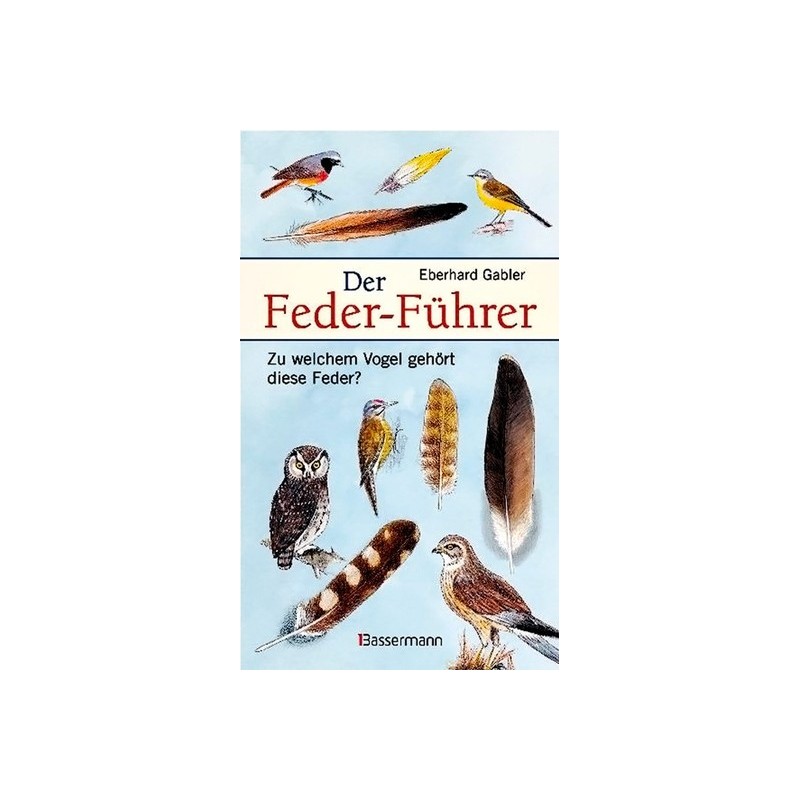 Der Feder-Führer. Zu welchem Vogel gehört diese Feder?