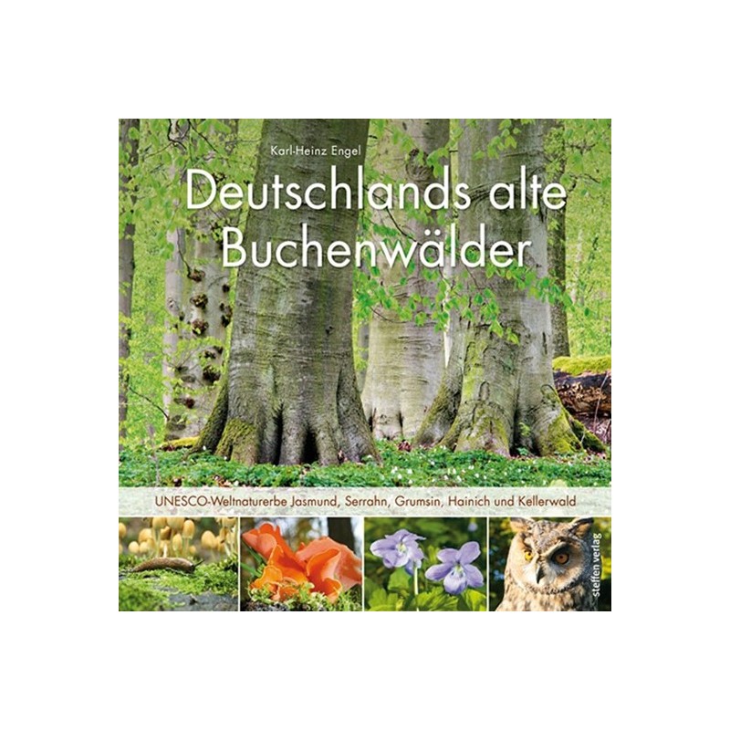 Deutschlands alte Buchenwälder. UNESCO-Weltnaturerbe Jasmund, Serrahn, Grumsin, Hainich und Kellerwald.