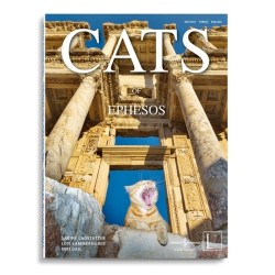 Cats of Ephesos.