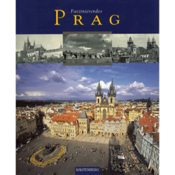 Faszinierendes Prag.