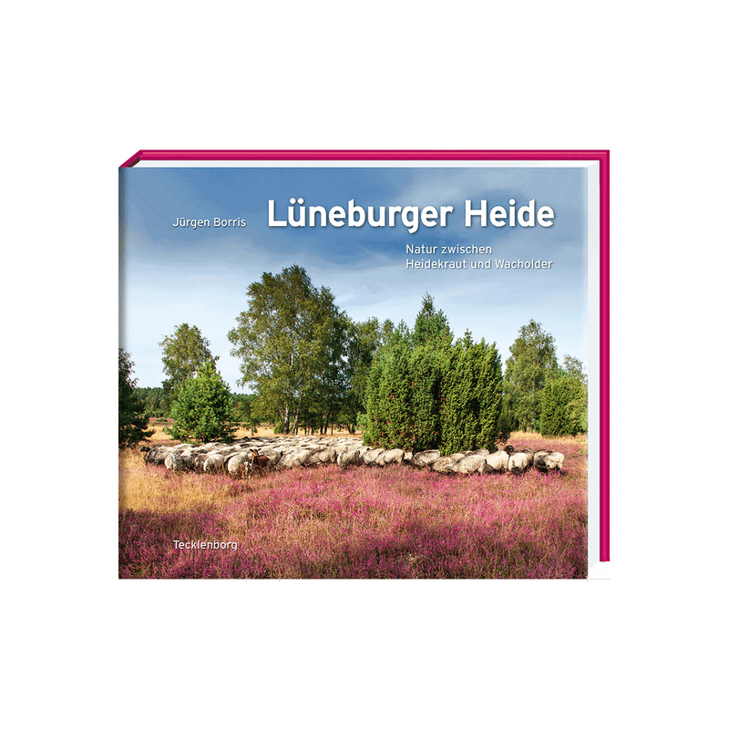 Jürgen Borris. Lüneburger Heide. Natur zwischen Heidekraut und Wacholder.