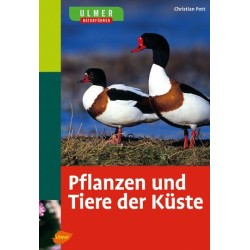 Pflanzen und Tiere der Küste.