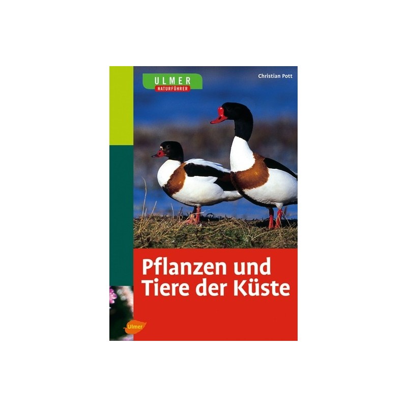 Pflanzen und Tiere der Küste.