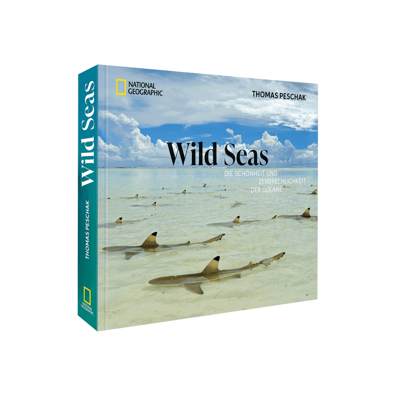 Wild Seas. Die Schönheit und Zerbrechlichkeit der Ozeane.