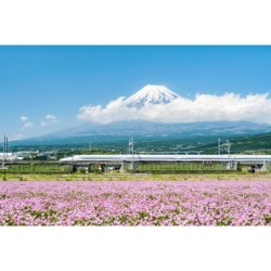 Japan meets Korea: Railroad...