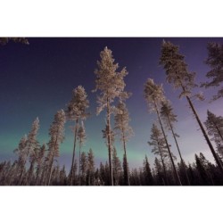 Finnland Bucketlist: Winterabenteuer Lappland