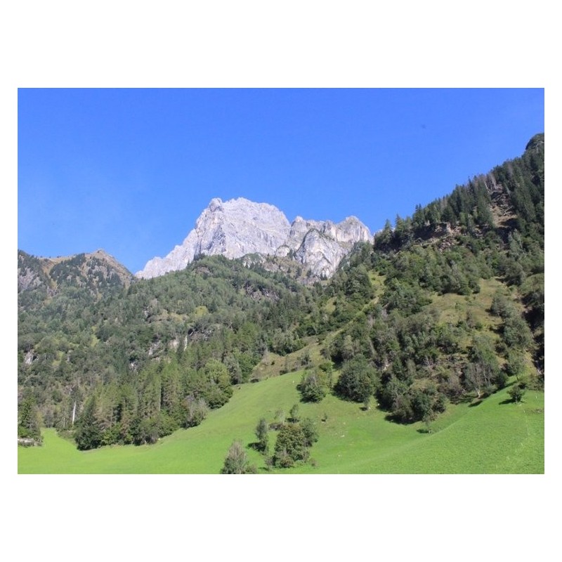 Alpenabenteuer und Erholung in Südtirols Bergparadies inkl. Sauna