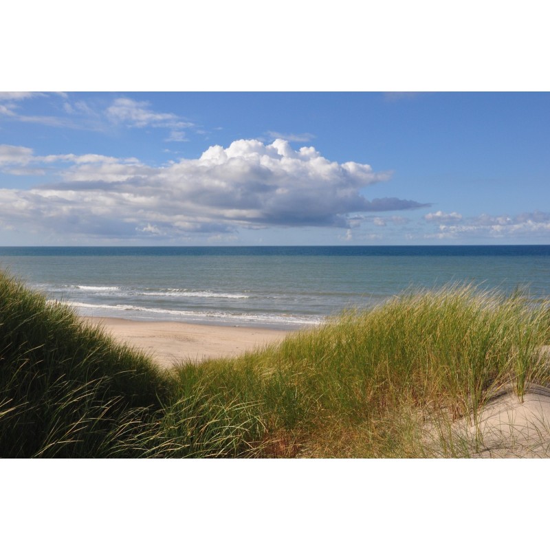 Tornby Strand Camping - Hirtshals