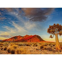 Rundreisen Namibia:...