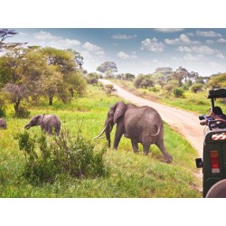 Rundreisen Namibia:...