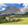 Eigene Anreise Deutschland & Österreich - Zugspitze: Wanderreise von Garmisch über Ehrwald bis zum Eibsee