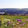 Thüringer-Wald-Entdecker