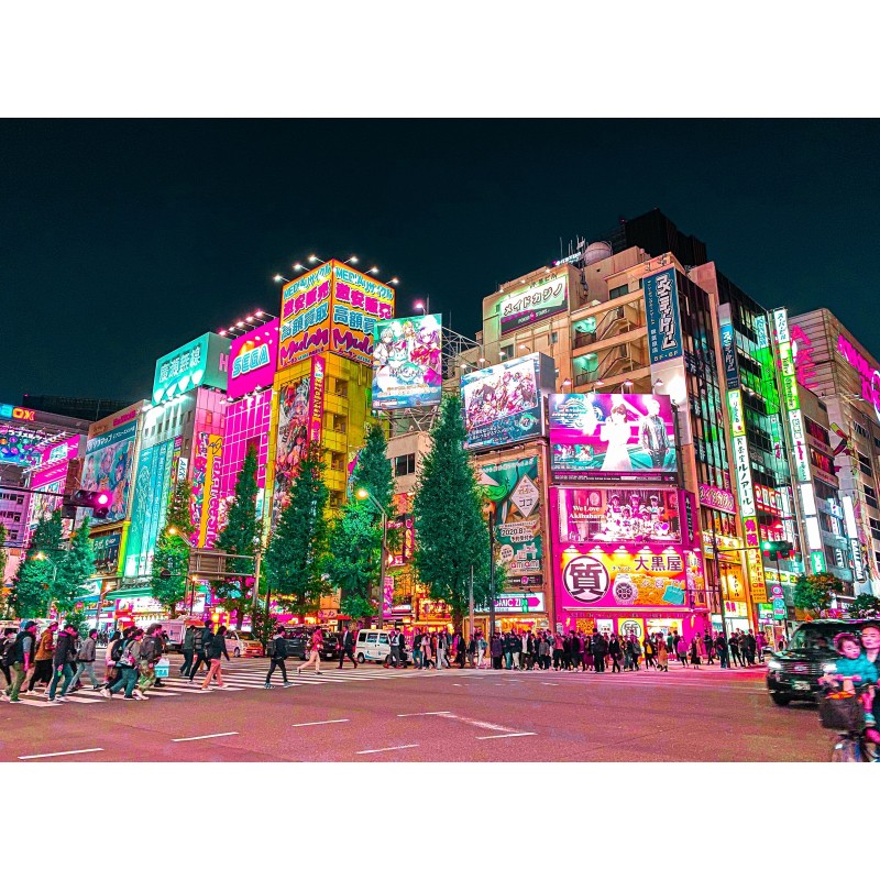 Japan Bucketlist: Meet me in Tokyo & Okinawa!