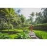 Bali Intense: Von Hidden Spots zum Vulkan-Abenteuer