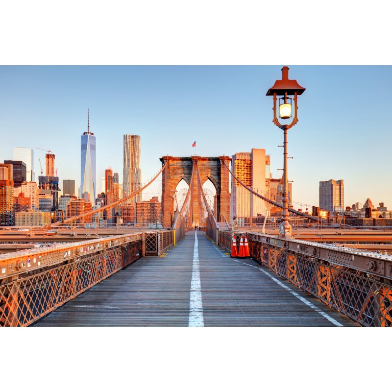 New York & Island: Urban Life meets Roadtrip Adventure