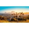 Sunny California: Hollywood & Aloha Hawaii!