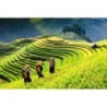 Vietnam Intense: Local Insights & Nature Wonders