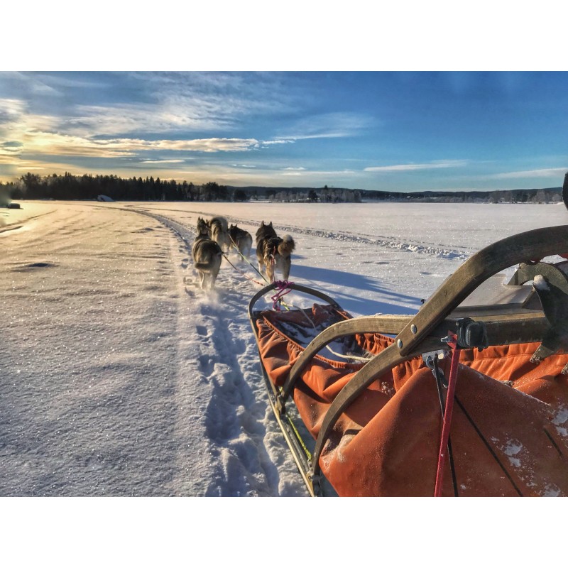 Winterabenteuer Lappland