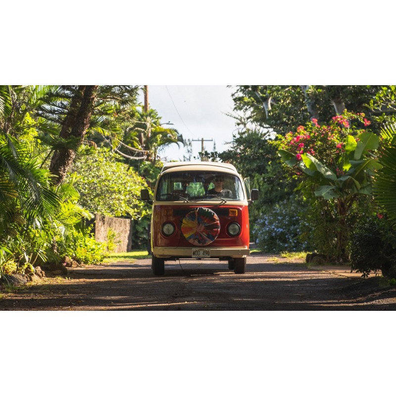 Kalifornien & Hawaii: City Adventure meets Vanlife