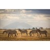 Kenia & Tansania: Wildlife Glamping trifft Inselparadies