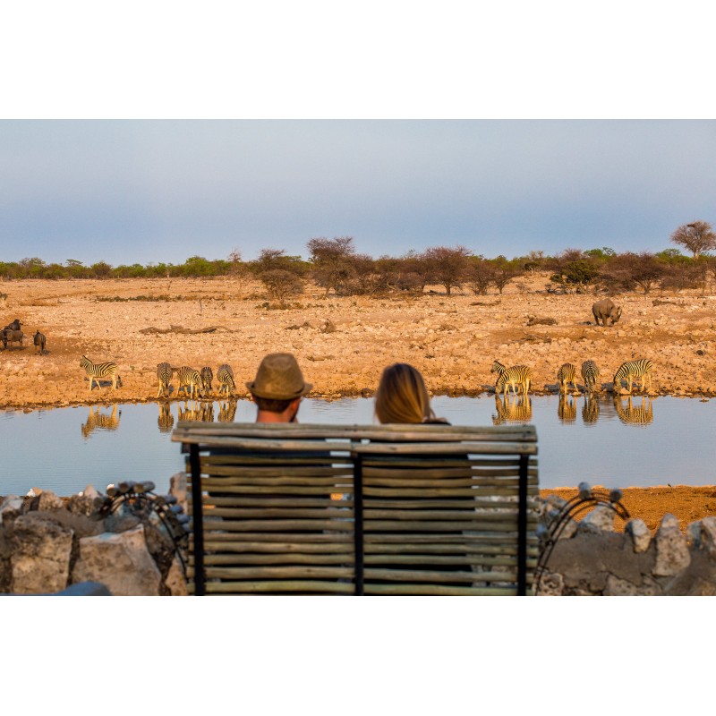 Namibia Abenteuer: Desert Glamping & Safari Roadtrip