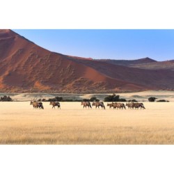 Namibia Abenteuer: Desert...