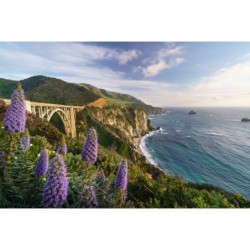 California Bucketlist:...