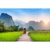 Laos Bucketlist: Glowing Landscapes & Ancient Temples