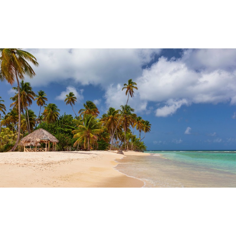 Trinidad & Tobago: Jungle, Beach & Caribbean Nights!