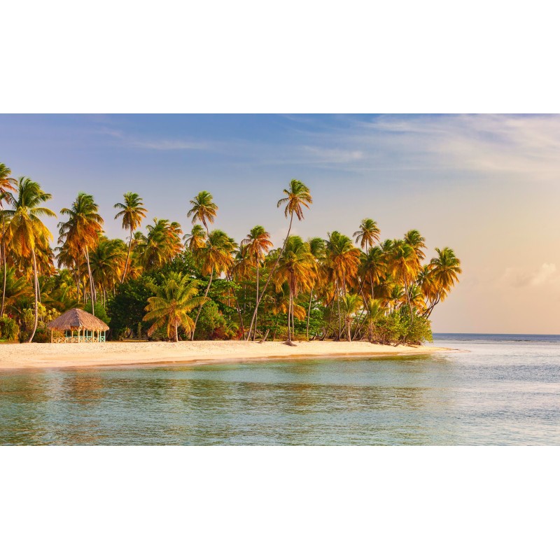 Trinidad & Tobago Bucketlist: Jungle, Beach & Coconutwater!