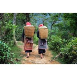 Laos adventure: Jungle...