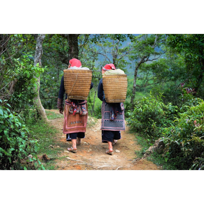 Laos adventure: Jungle drums meet local life!