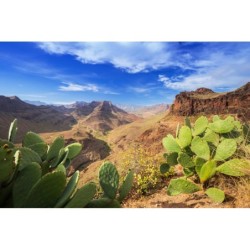 Madeira & Gran Canaria:...