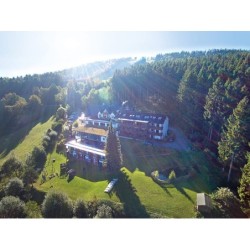 Sauerland - 3*S Wald Hotel...