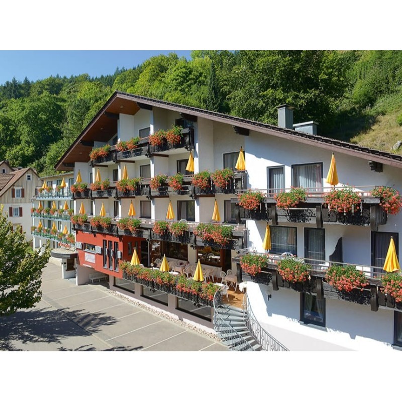 Schwarzwald - 4*Flair Hotel Sonnenhof - 8 Tage für 2 Personen inkl. Halbpension