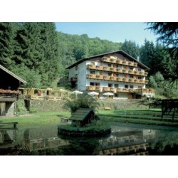 Eifel - 3*Wolffhotel - 4...