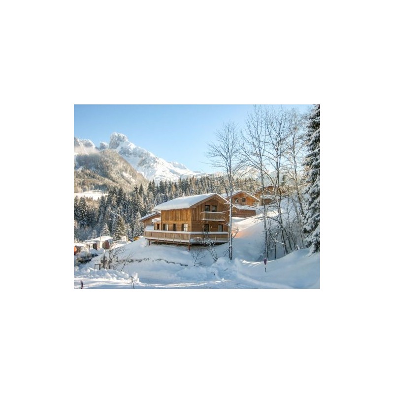 Ferienhaus Alpendorf Dachstein-West Gamsblume - 6 Personen