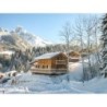 Ferienhaus Alpendorf Dachstein-West Gamsblume - 6 Personen