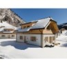 Ferienhaus Riesneralm Chalets Ebersberger Sonntag bis Sonntag - 9 Personen