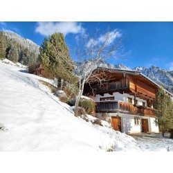 Ferienhaus Alpbach 532  -...